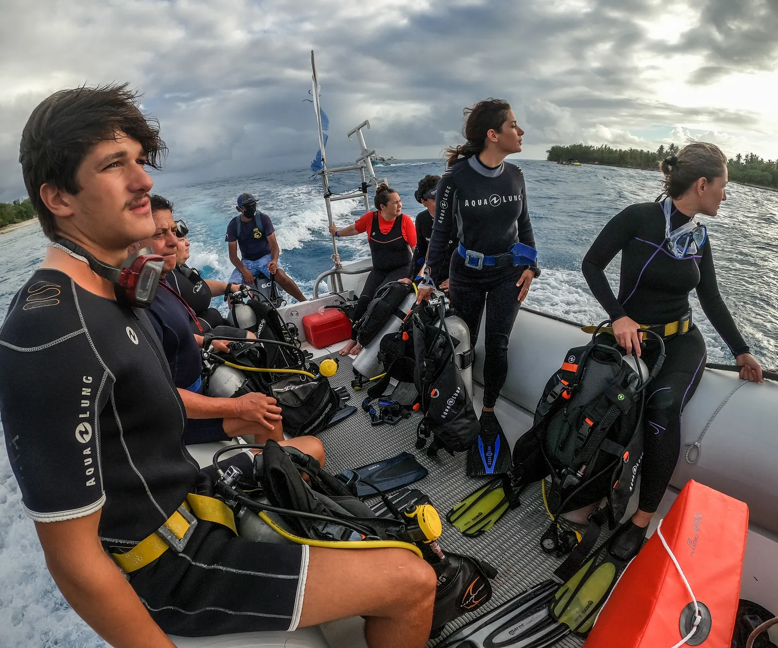Volunteering with dolphins