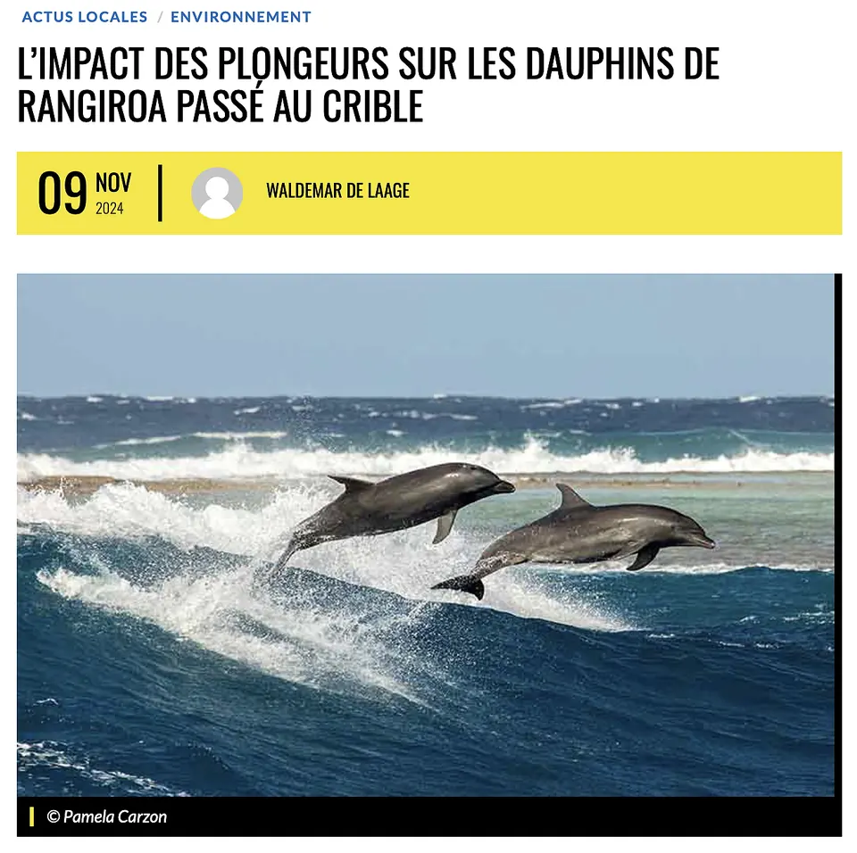 L’impact du tourisme de plongée sous-marine sur les grands dauphins de Rangiroa passé au crible