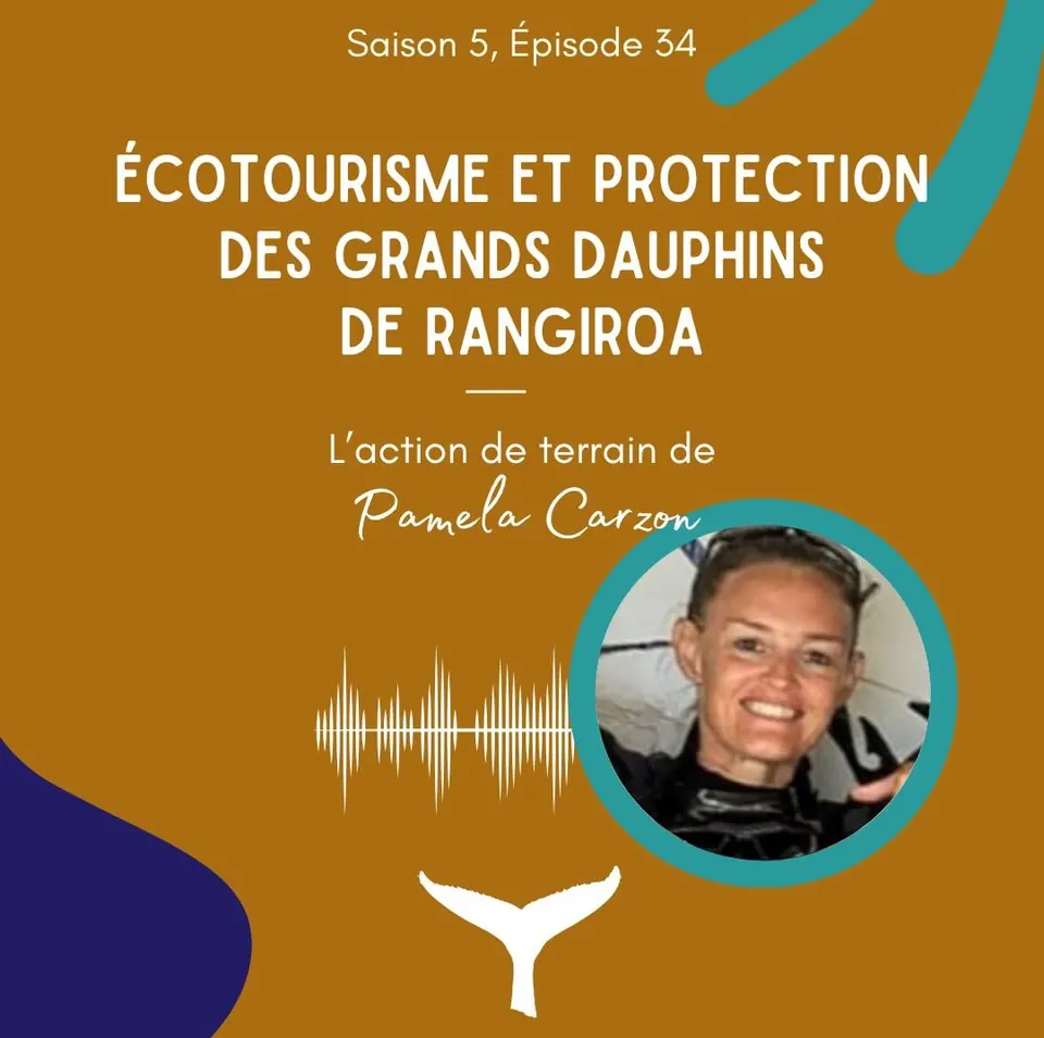 Podcast : écotourisme et protection des grands dauphins à Rangiroa