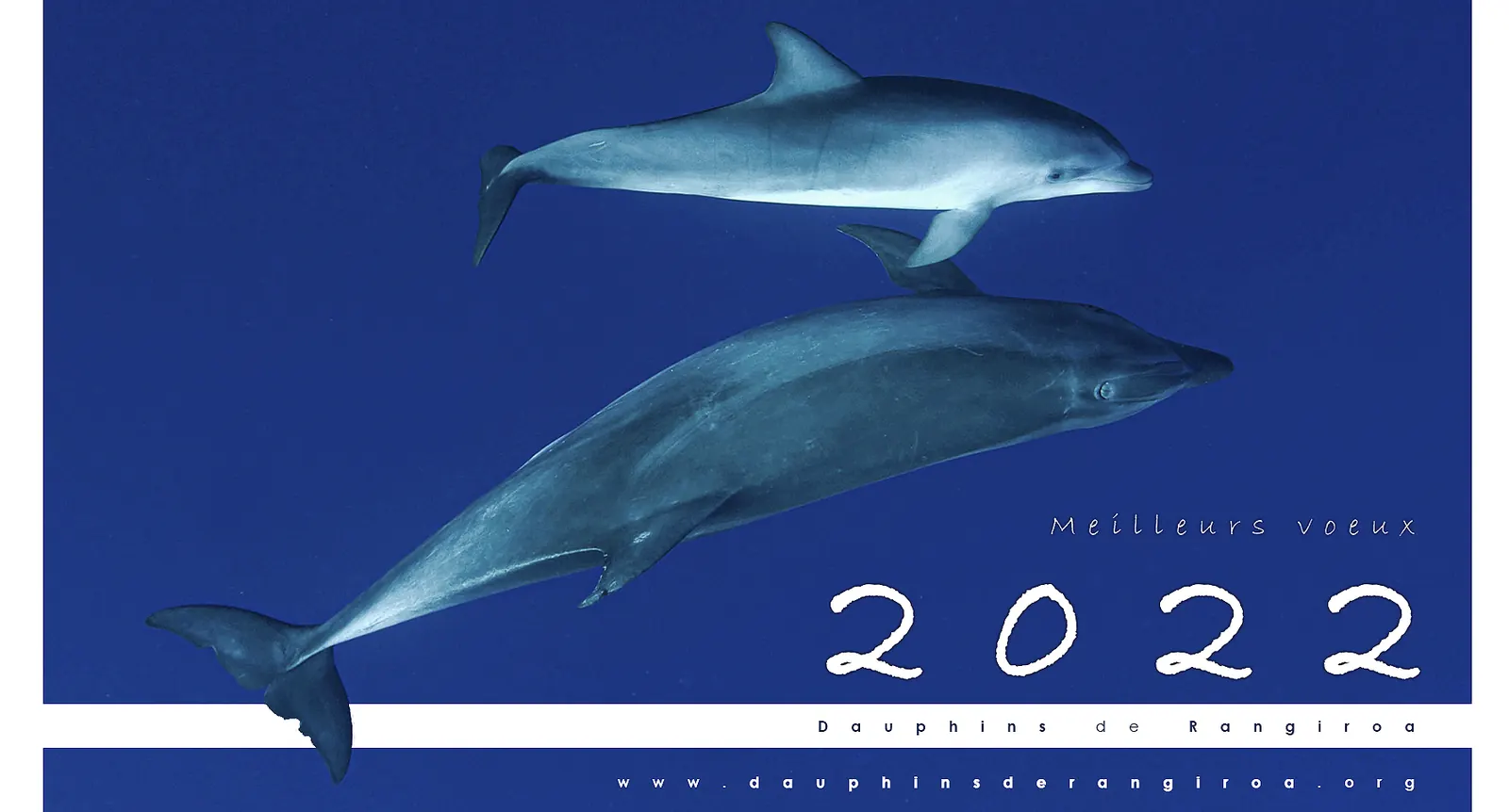 2021 en deux mots...