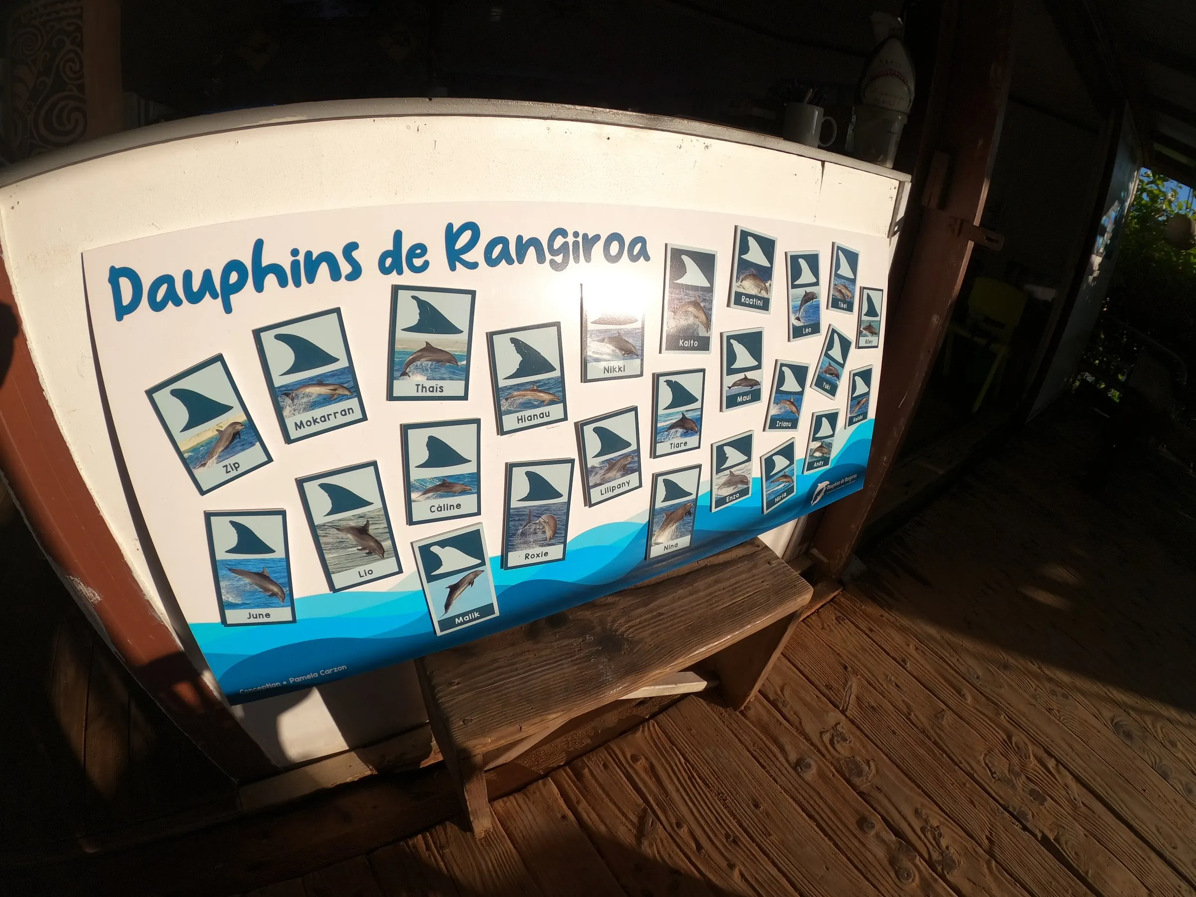 Le trombinoscope des dauphins de Tiputa