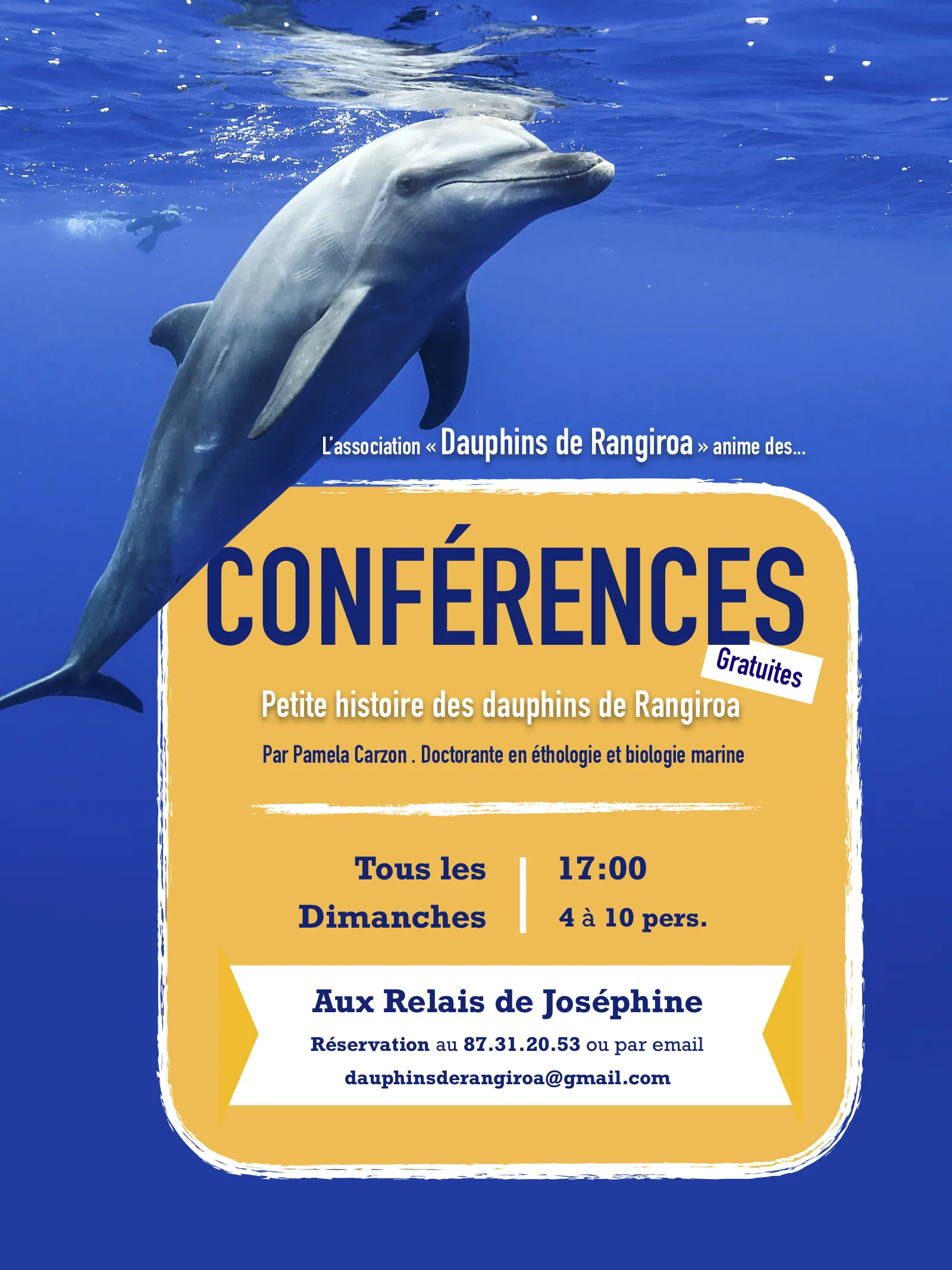 Venez assister à une conférence sur les grands dauphins de Rangiroa !